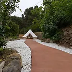 Monte Frio De Tenerife * La Guancha