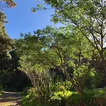 Monte Frio De Tenerife Летний дом *