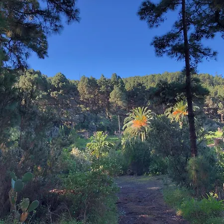 Monte Frio De Tenerife Venkovský dům
