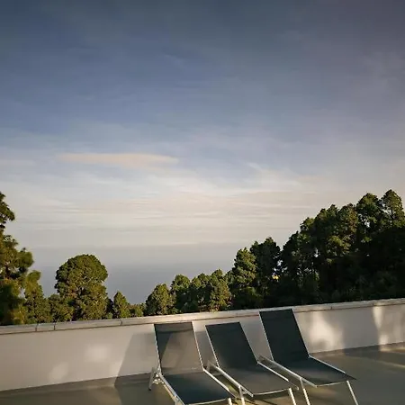 Monte Frio De Tenerife * La Guancha