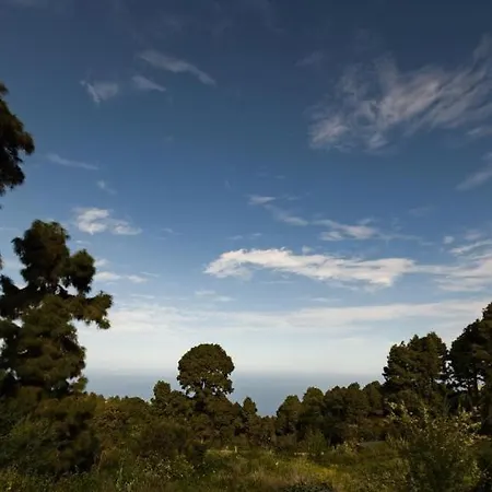 Monte Frio De Tenerife