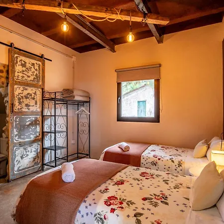 Monte Frio De Tenerife *