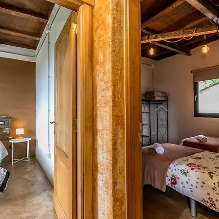 Monte Frio De Tenerife * La Guancha