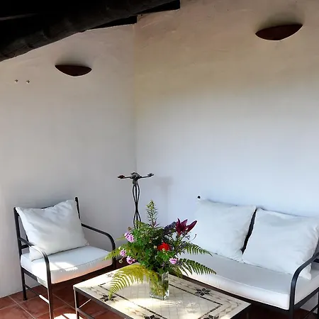 Monte Frio De Tenerife