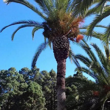 Monte Frio De Tenerife Hétvégi ház La Guancha