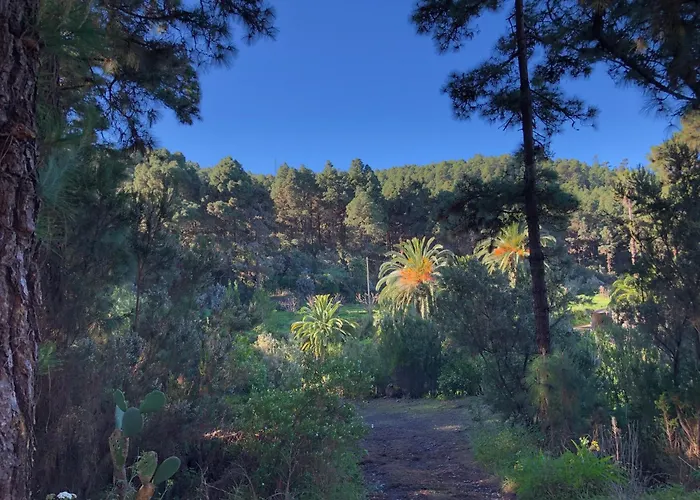 Monte Frio De Tenerife Séjour à la campagne