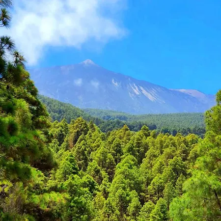 カントリーハウス Monte Frio De Tenerife La Guancha