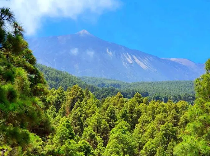 Country house Monte Frio De Tenerife La Guancha