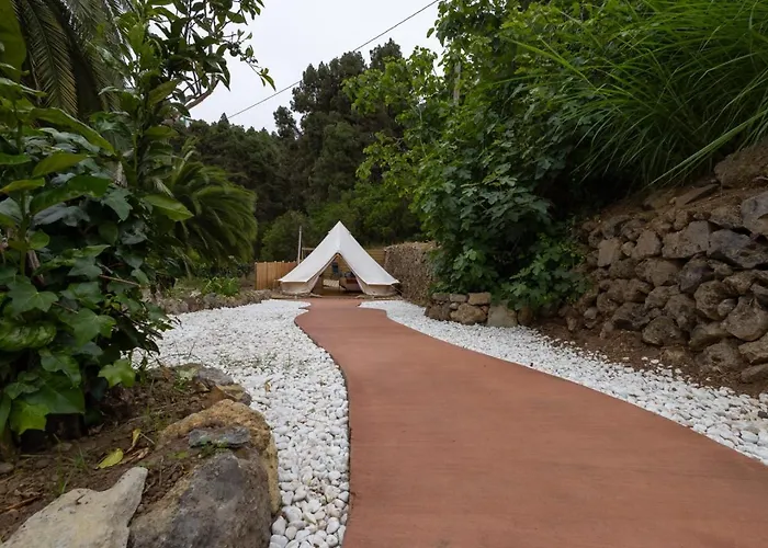 Monte Frio De Tenerife * La Guancha