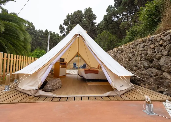 Monte Frio De Tenerife * La Guancha