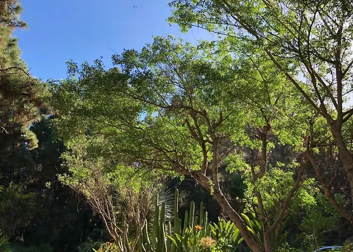 Monte Frio De Tenerife Country house *